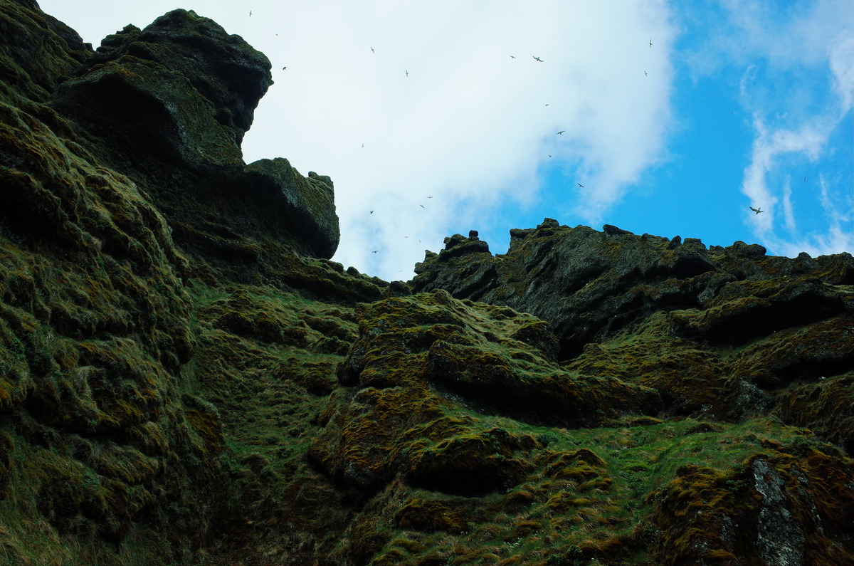 An upward angle of the cliffs above the Rauðfeldsgjá Gorge.