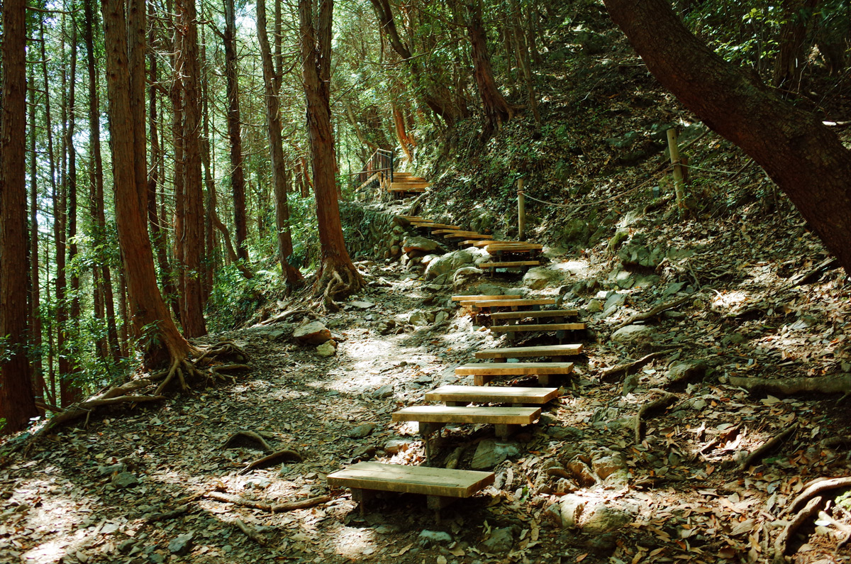 Twenty wooden steps built into dirt on Mount Takao.