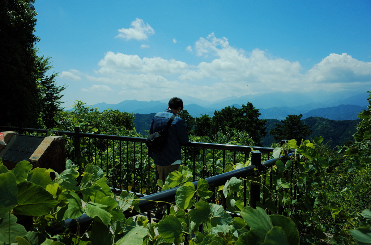 Person next to metal railing, looking out from the summit of Mount Takao.