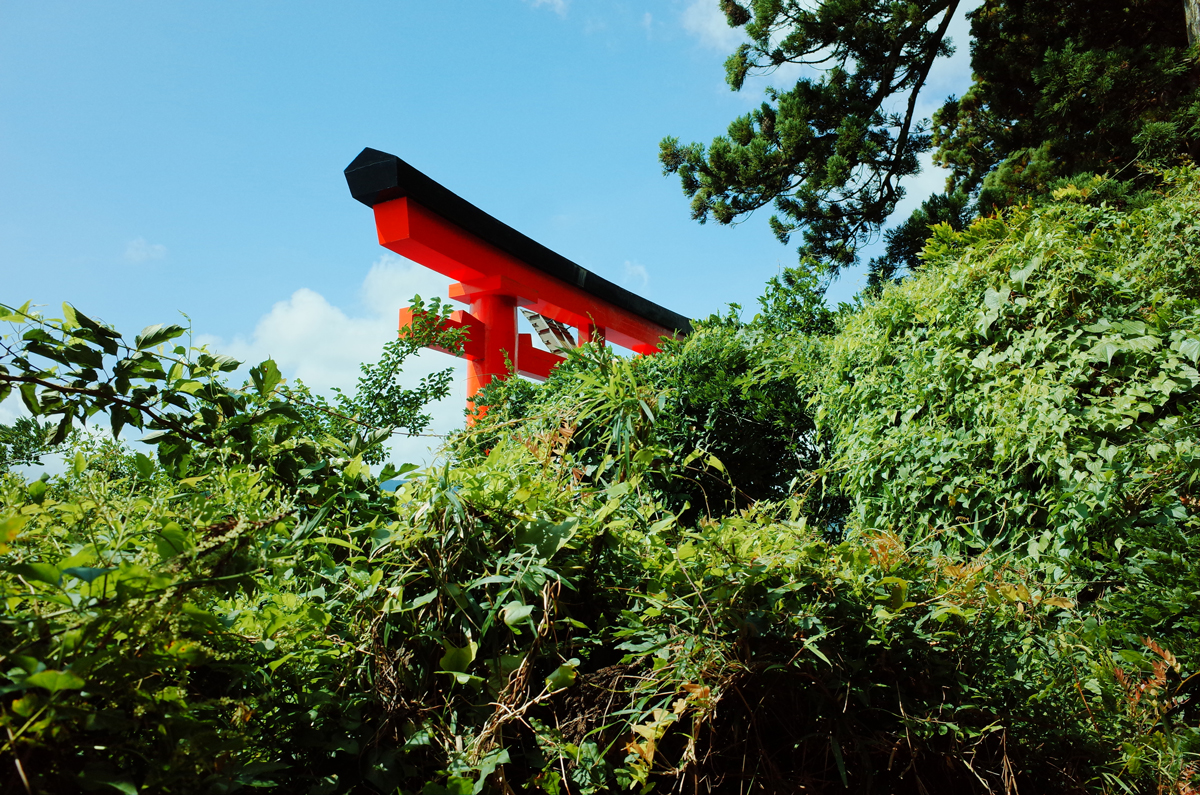 The orange top of the Hakone-jinja Shrine behind lush foliage.
