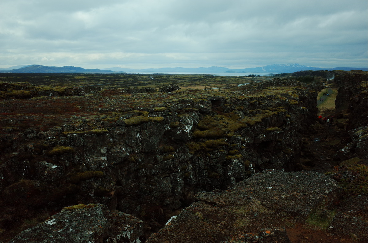 The moss covered fault line of Þingvellir National Park.